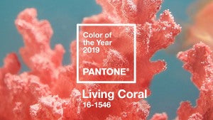 Living Coral - Pantone's Color of the Year 2019